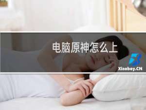 电脑原神怎么上