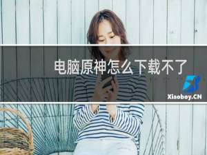 电脑原神怎么下载不了