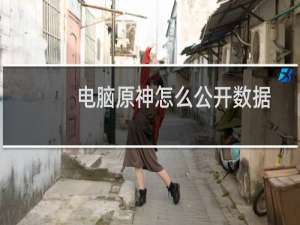 电脑原神怎么公开数据