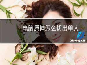 电脑原神怎么切出单人