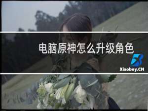 电脑原神怎么升级角色