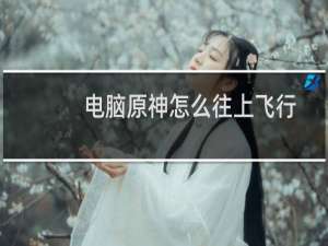 电脑原神怎么往上飞行