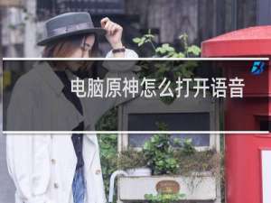电脑原神怎么打开语音