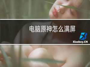 电脑原神怎么满屏