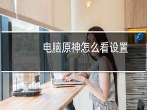 电脑原神怎么看设置