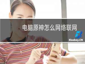 电脑原神怎么网络联网