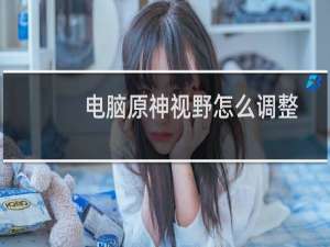 电脑原神视野怎么调整