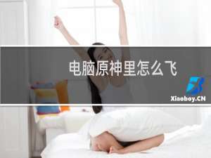 电脑原神里怎么飞