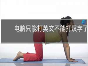 电脑只能打英文不能打汉字了