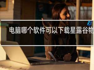 电脑哪个软件可以下载星露谷物语