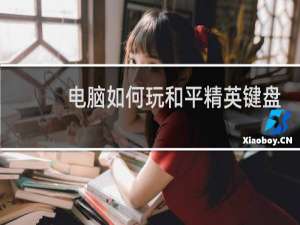 电脑如何玩和平精英键盘
