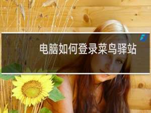 电脑如何登录菜鸟驿站