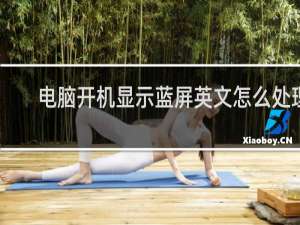 电脑开机显示蓝屏英文怎么处理