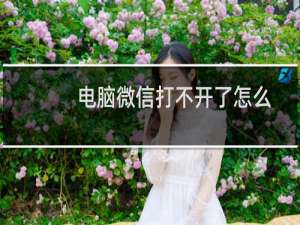 电脑微信打不开了怎么办