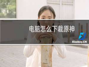电脑怎么下裁原神