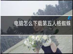 电脑怎么下载第五人格蜘蛛