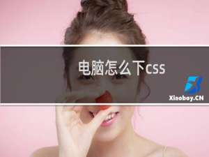 电脑怎么下css