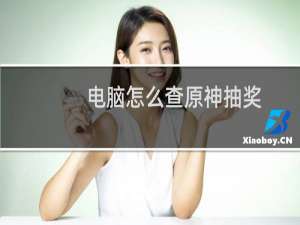 电脑怎么查原神抽奖