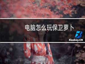 电脑怎么玩保卫萝卜