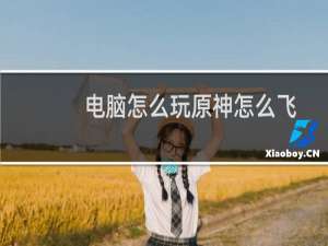 电脑怎么玩原神怎么飞