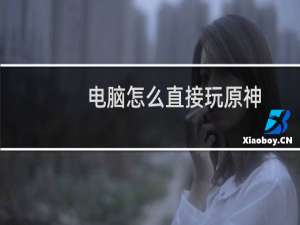 电脑怎么直接玩原神