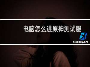 电脑怎么进原神测试服