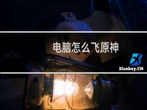 电脑怎么飞原神