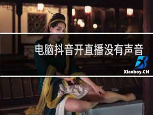 电脑抖音开直播没有声音怎么办?