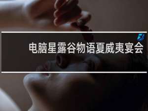 电脑星露谷物语夏威夷宴会