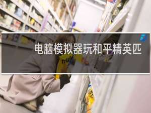 电脑模拟器玩和平精英匹配的是什么人