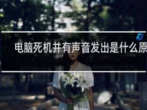 电脑死机并有声音发出是什么原因