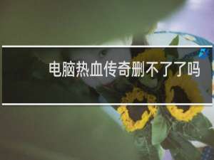 电脑热血传奇删不了了吗