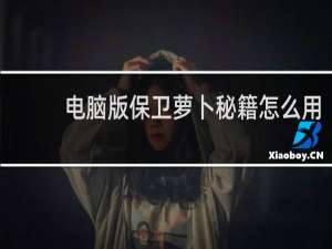 电脑版保卫萝卜秘籍怎么用