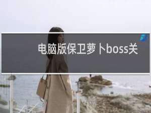 电脑版保卫萝卜boss关