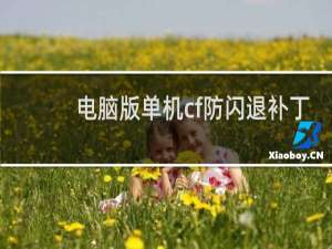 电脑版单机cf防闪退补丁