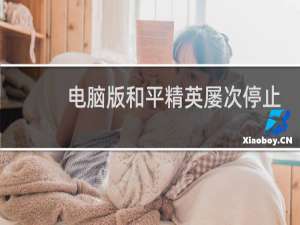 电脑版和平精英屡次停止运行怎么办