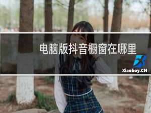 电脑版抖音橱窗在哪里