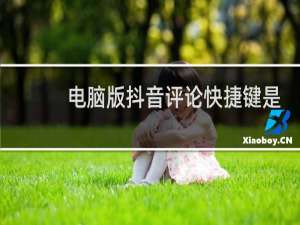 电脑版抖音评论快捷键是哪个