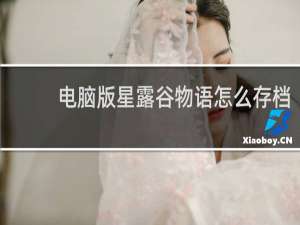 电脑版星露谷物语怎么存档