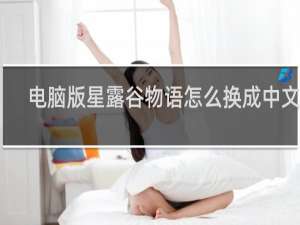 电脑版星露谷物语怎么换成中文版