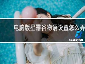 电脑版星露谷物语设置怎么弄