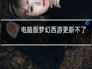 电脑版梦幻西游更新不了