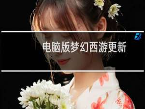 电脑版梦幻西游更新