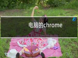 电脑的chrome
