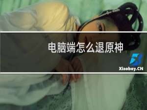 电脑端怎么退原神