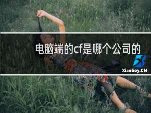 电脑端的cf是哪个公司的