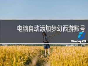 电脑自动添加梦幻西游账号