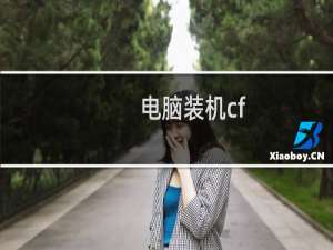 电脑装机cf