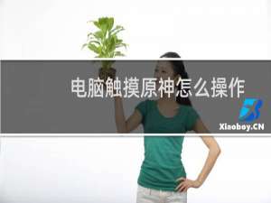 电脑触摸原神怎么操作