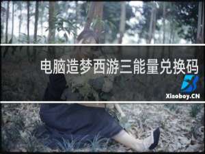 电脑造梦西游三能量兑换码